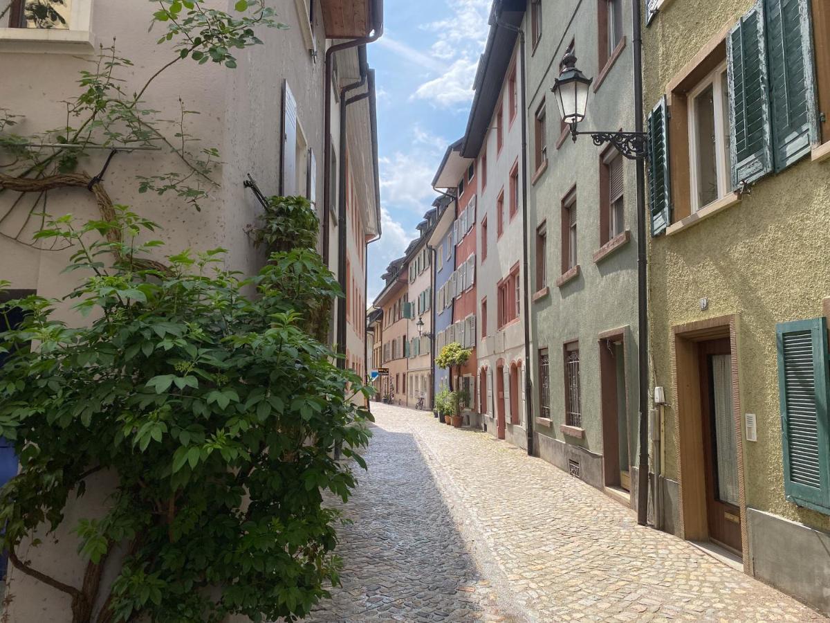 Neues Design-Apartment, Altstadt, Business&Ferien, Kueche, Netflix Bad Säckingen Exterior foto